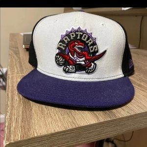 Raptors Hat